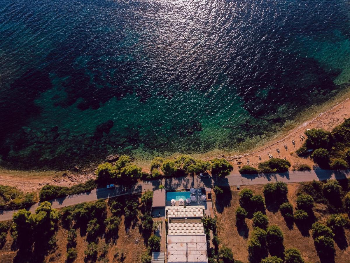 Casa Bloo Adults Only Hotell Elia Nikitis Exteriör bild